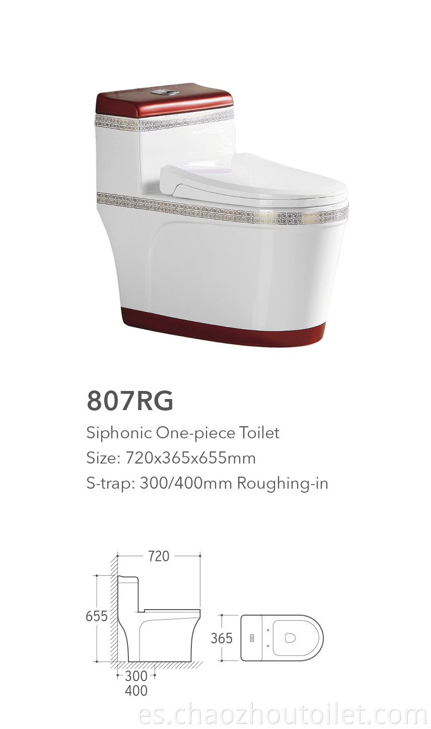 807rg One Piece Toilet